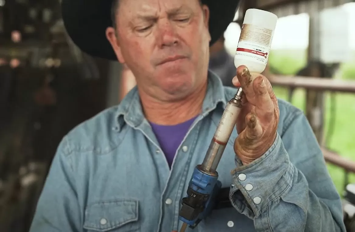 Brad Haun, Haun Ranch, ENDOVAC-Beef® with Immune Plus®