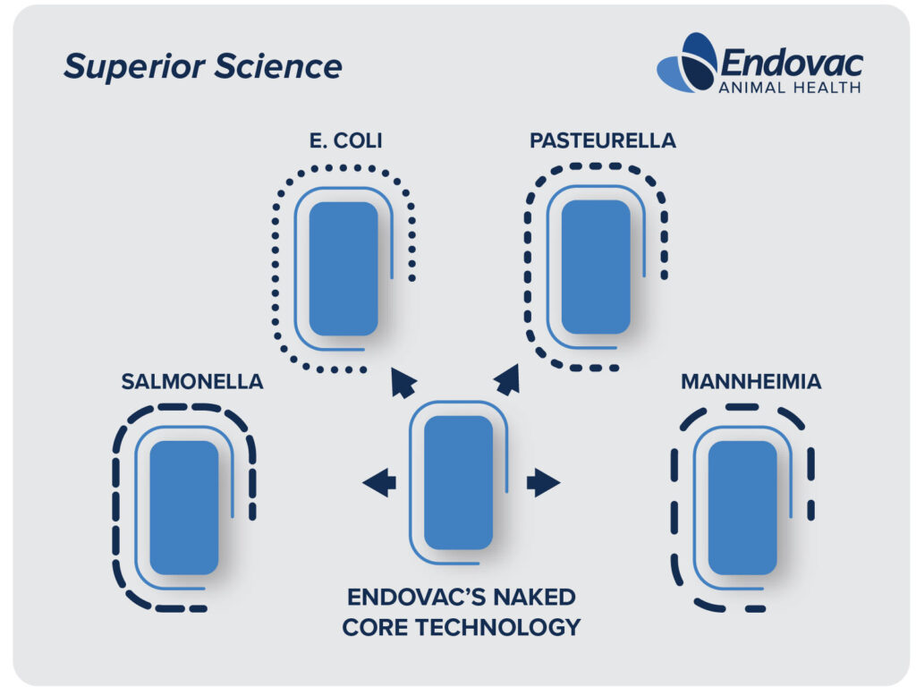 Superior Science_Web